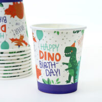 Birthday Party Paper Cup