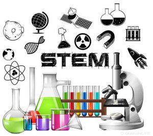 Stem-Toys-China-wholesale