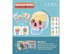 educational toys-5