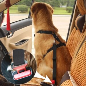 dog seat belt