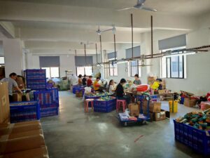 visit toys factory