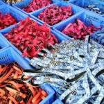 custom pet products wholesale (7)