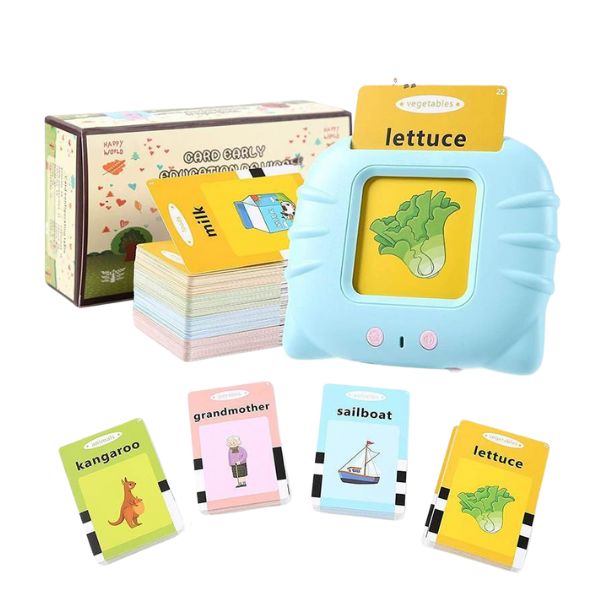 Flash Cards Toys