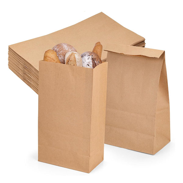 Paper lunch bag