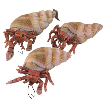 Hermit Crab Stuffed Animal