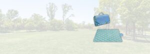 picnic blanket banner-2 (1)