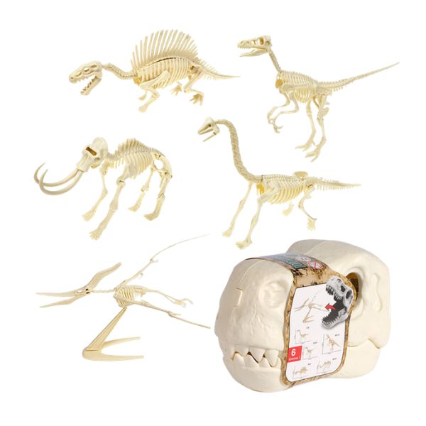 Dinosaur Fossils